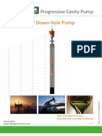 MVC Down Hole Pump Catalogue New 2022