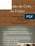 Podridão do colo do feijão causada por Sclerotium rolfsii