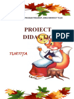 Proiect DLC Povestire Turtita
