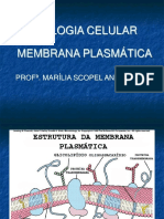 Membrana plasmática e suas funções