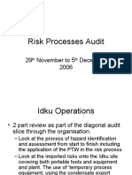 Risk Processes Audit