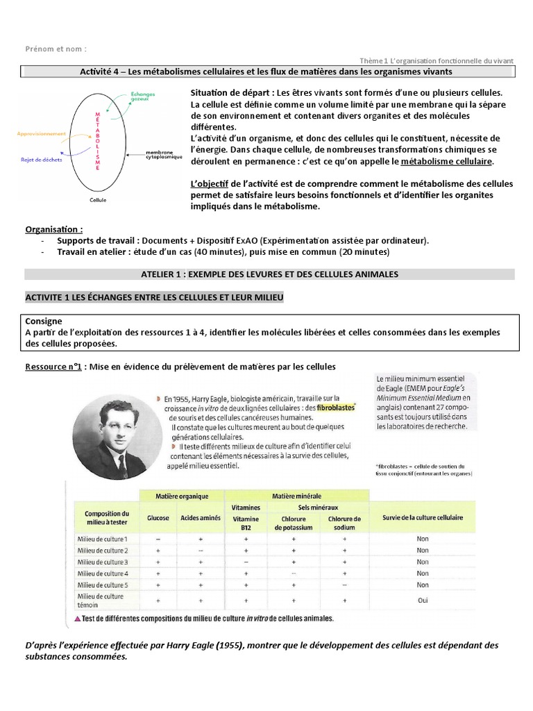 Métabolisme cellulaire et échanges vivants | PDF | Cellule (Biologie ...