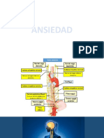 Psicologa en Maracay - Norelis Bolivar - Ansiedad