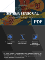 Apresentação - Sistema Sensorial