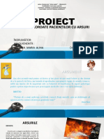 Prezenatre Powerpoint Proiect de Absolvire