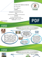 Declaración Universal Sobre Bioética y Derechos Humanos