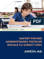Raport TI Judetean - FINAL