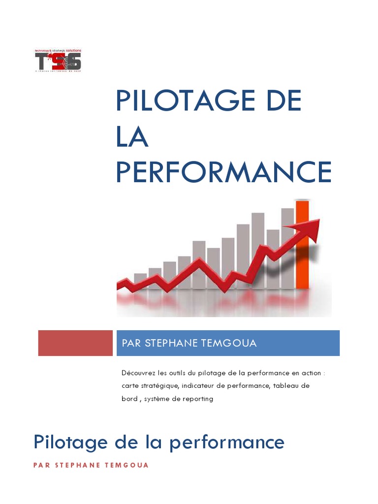 Les Outils Du Pilotage de La Performance en Action | PDF | Évolution de ...