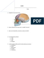 Examen de biología sobre huesos del cráneo, parásitos, disacáridos y células