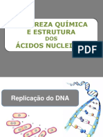 2A. - Composição Química e Estrutura dos Ácidos Nucleicos