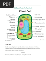 Cell Plant