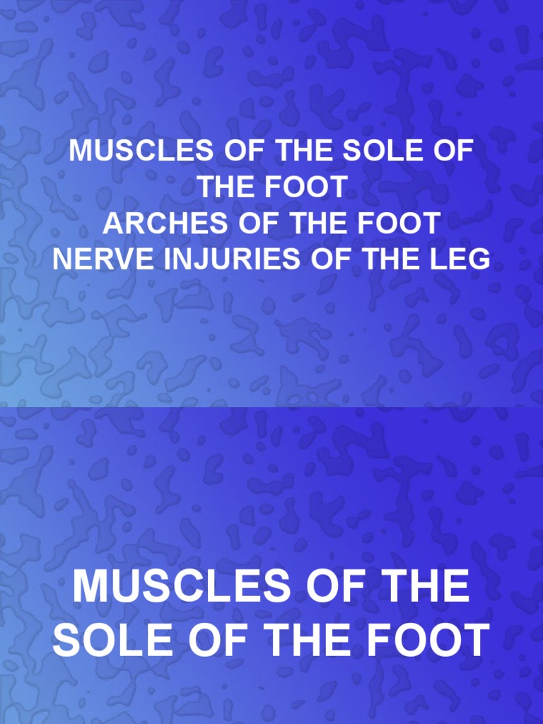 Sole of Foot, Nerve Injuries1 PDF Human Leg Foot