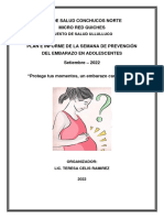 Plan e Informe Semana Del Embarazo Adolescente