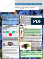 Poster Alimentoscancer