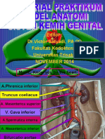 Demo Tutorial Praktikum Model Sistem Genitourinarius 2014