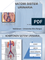 AnFis Sistem Urinary