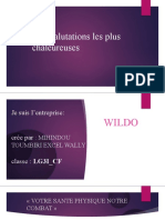 Entreprise Wildo