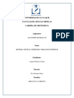 ANEXOS Y VASCULARIZACION - SISTEMA GENITAL FEMENINO ÓRGANOS INTERNOS - Legny Palacios