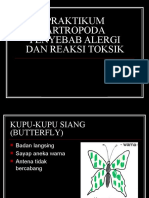 Parasit - DR Yolazenia - Artropoda 3