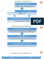 Formato Programa de Formacion - Correa