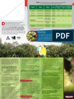 Brocarta49 Insecticidas