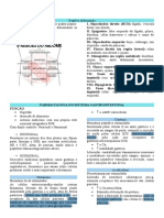 Farmacologia Do Sistema Gastrointestinal