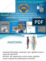 Diapositivas Anatomía