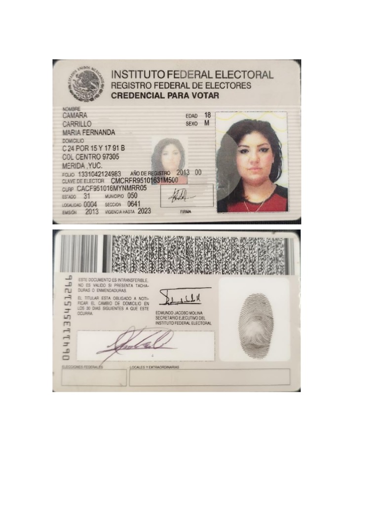 Ines | PDF