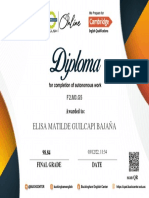 Diploma - Módulo - Elisa Guilcapi