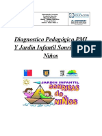 Diagnostico Pmi 2017 Final