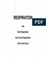 Respiración