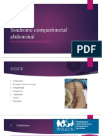 Síndrome Compartimental Abdominal: Diagnóstico y Tratamiento