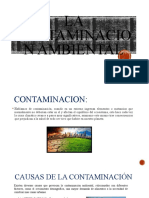 La Contaminacion Ambiental