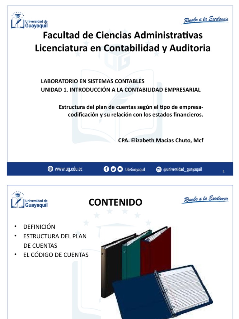 Unidad 1.03 Estructura Del Plan de Cuentas | PDF | Contabilidad ...