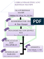 Struktur Organisasi Poli ANC Puskesmas Manipi