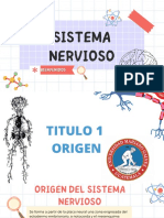 Desarrollo del sistema nervioso central y periférico