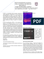 Informe DNA-Plasmidico Seccion1 3IM2