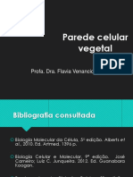 Parede Celular Vegetal