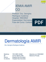 Dermatología Contacto AMIR 2020