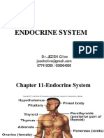 Endocrine System