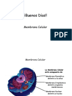 22b Membrana Función Estructura