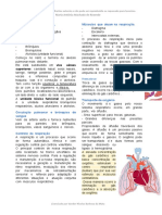 Fisiologia Do Sistema Respiratório