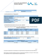 Formulario de Cálculo de Los Subsidios Por Incapacidad Laboral