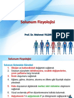 9 - Solunum Fizyolojisi