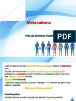 13 Metabolizma