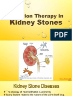Nutrition Therapy for Kidney Stones