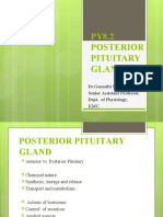 Posterior Pituitary Gland