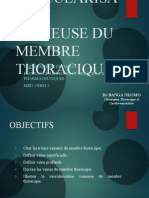 Vascularisation Veineuse Du Membre Thoracique