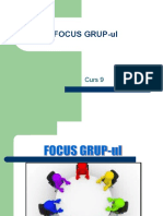 Curs 9. Focus Grup-ul