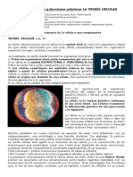 PDF Download Morfologia Estructura y Funciones Celulares La Teoria Celular